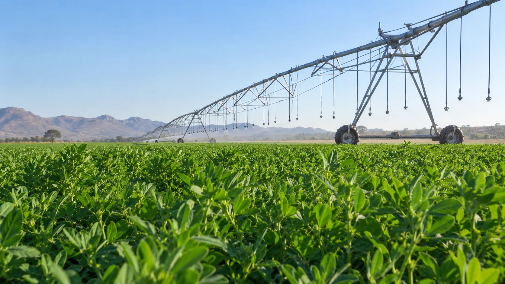 Cultivated farmland with an irrigation system